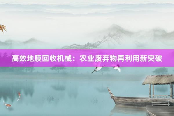 高效地膜回收机械：农业废弃物再利用新突破